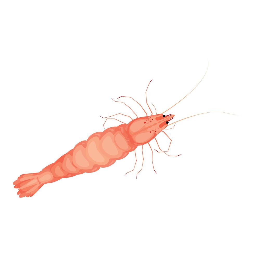 Seafood shrimp icon, cartoon style vector