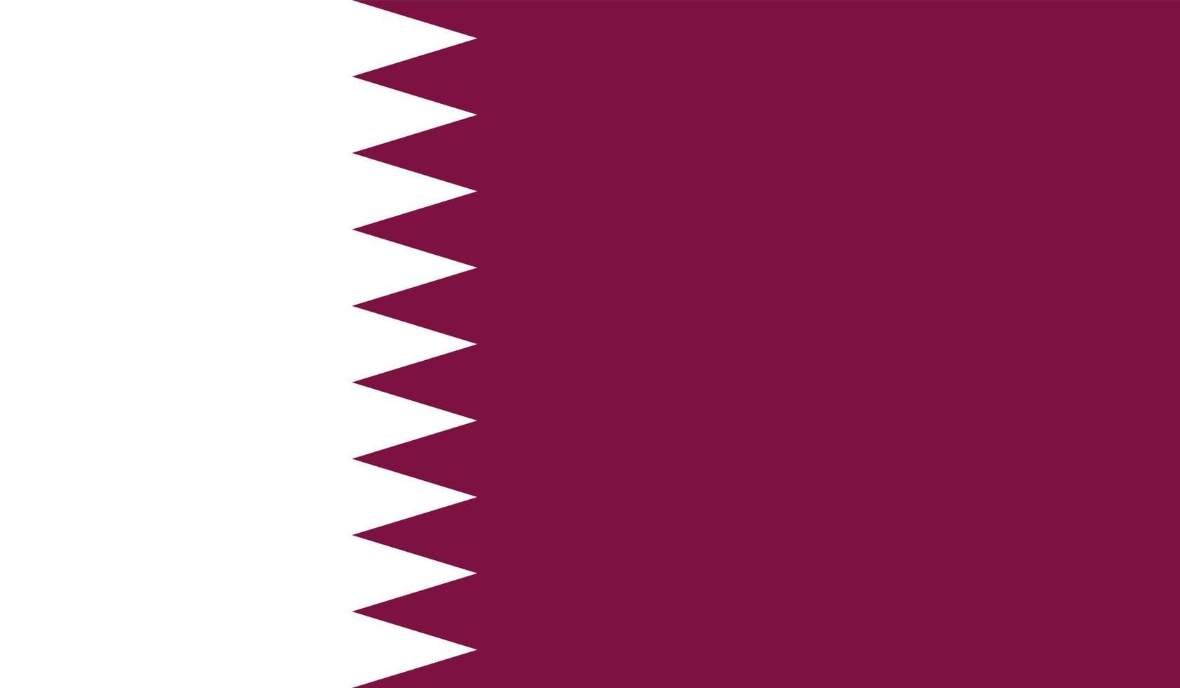 Qatar flag image vector