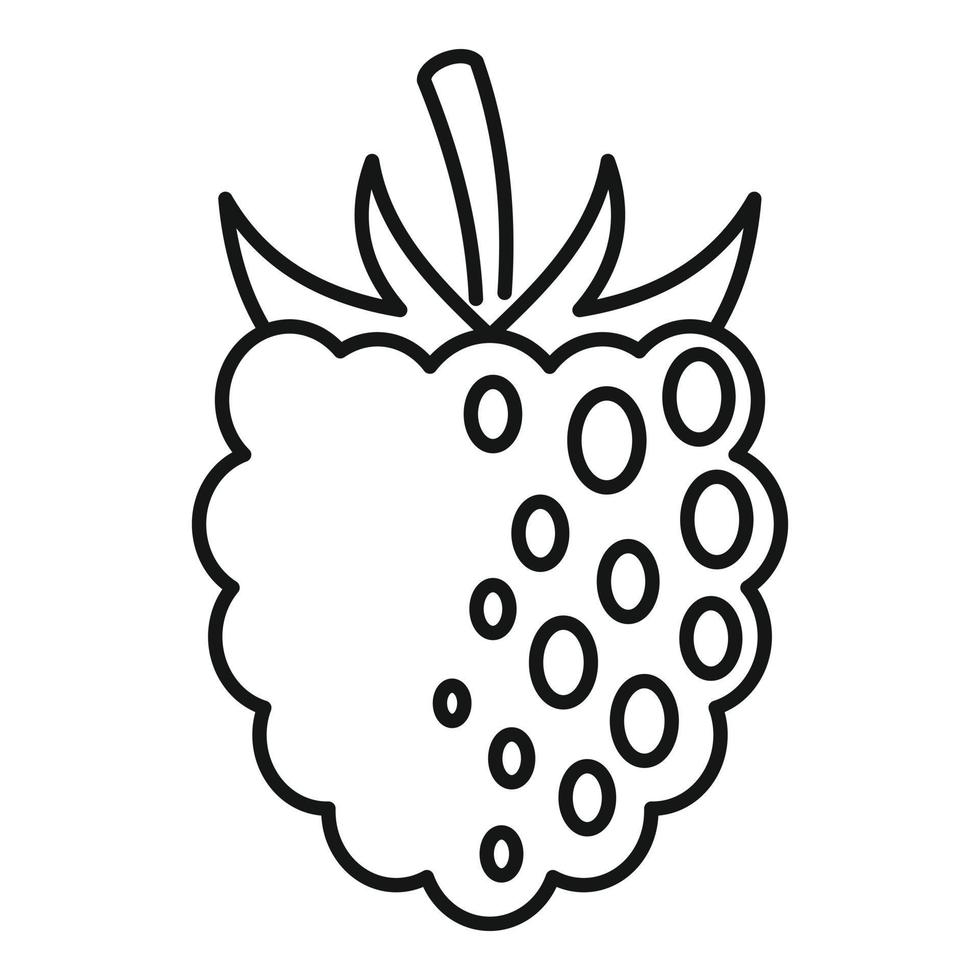 Fresh blackberry icon, outline style vector