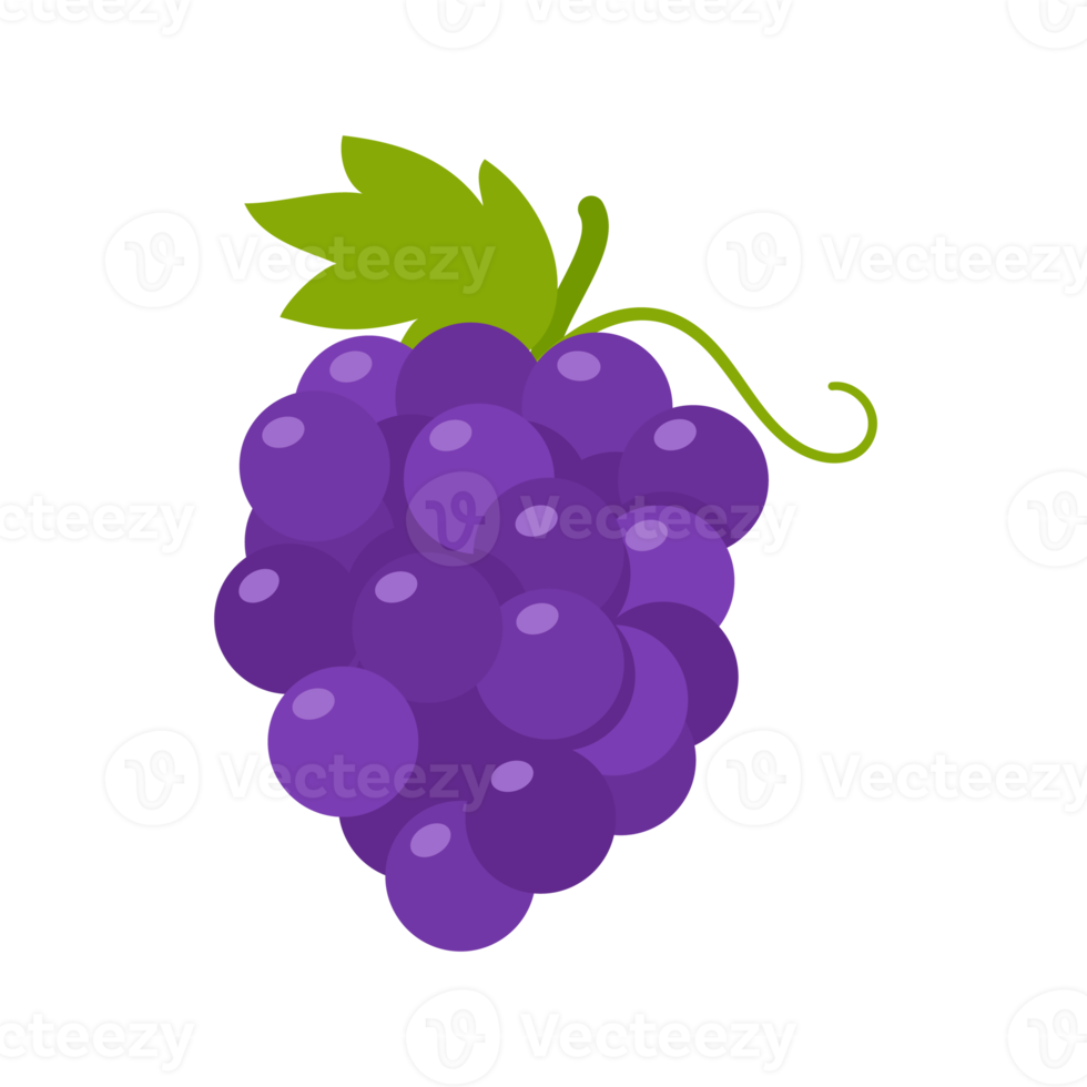 uvas roxas. fruta doce saudável para vegetarianos. png