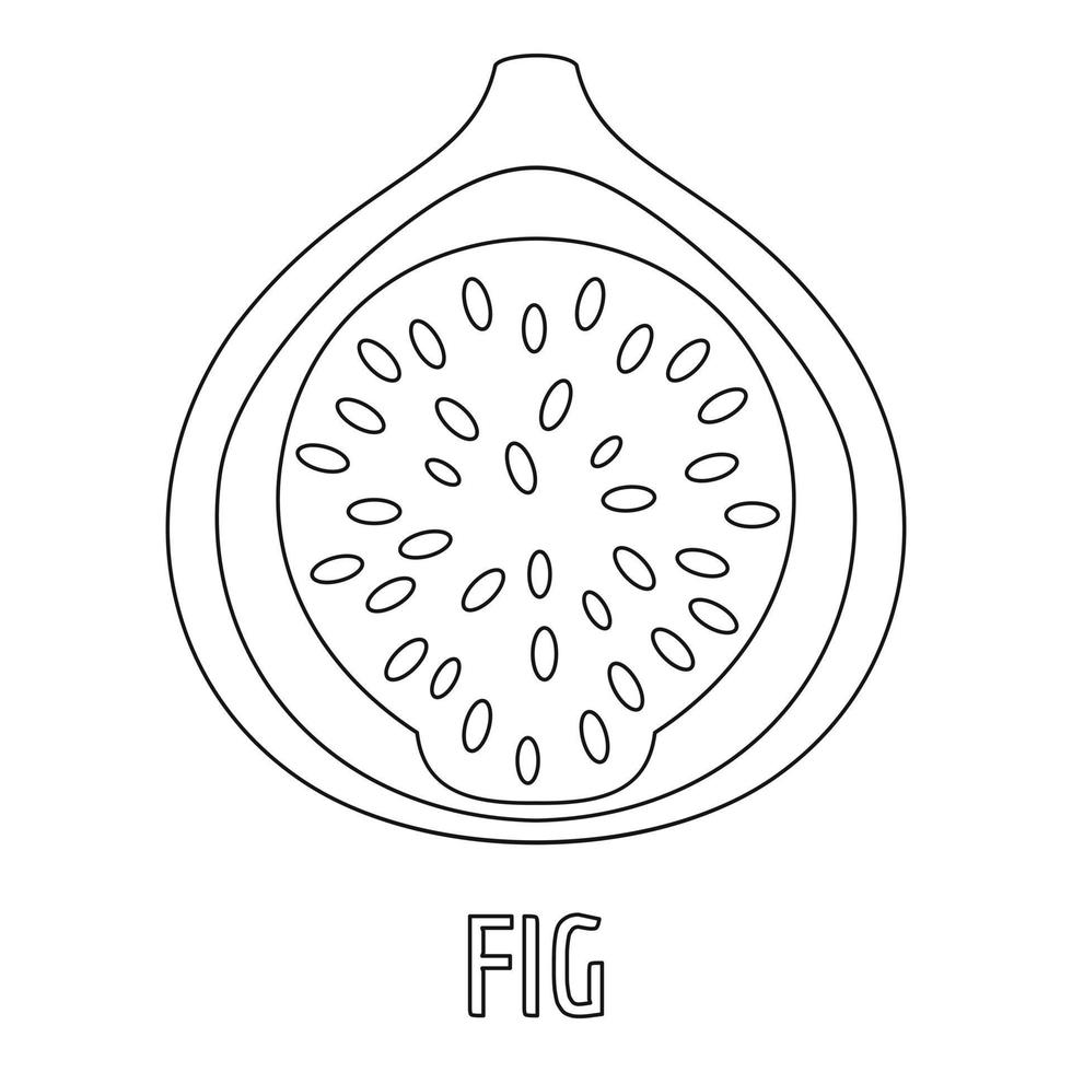 Fig icon, outline style. vector
