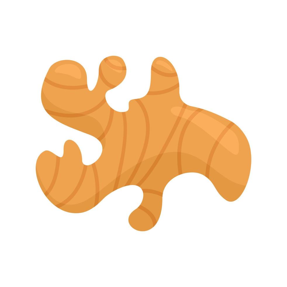 Ginger icon, flat style vector