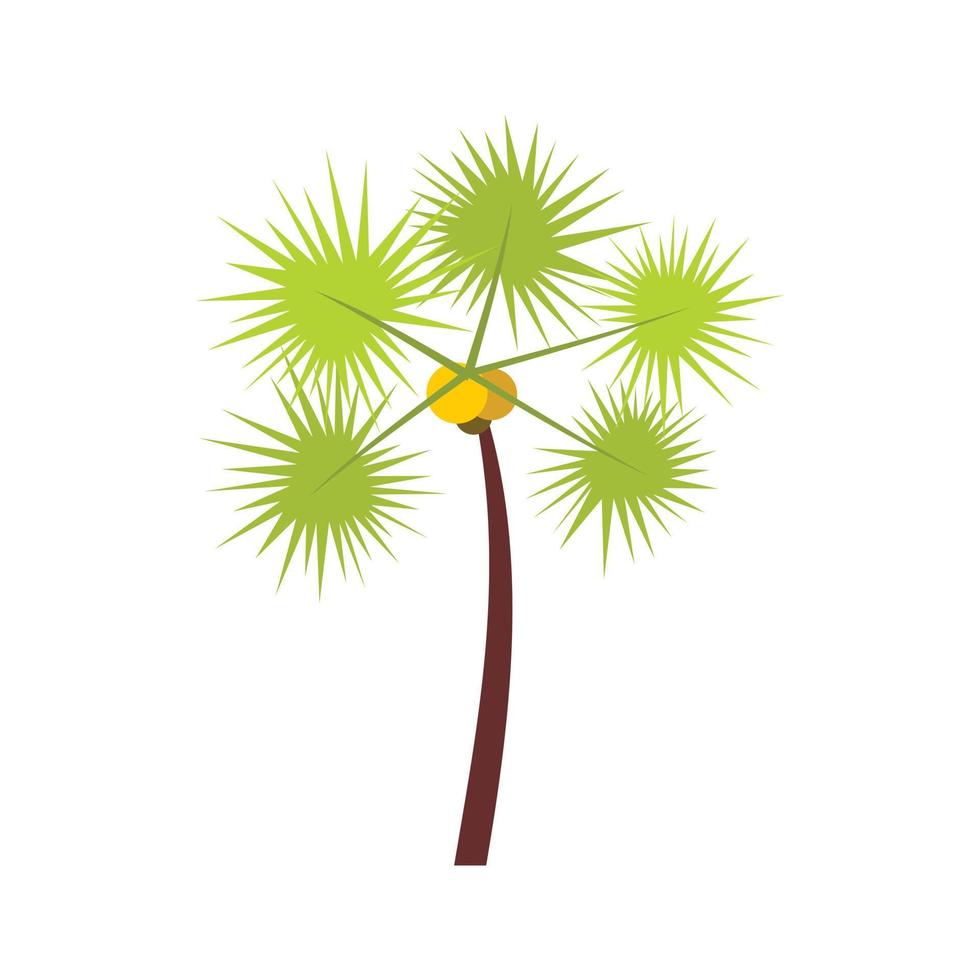 Palm chamaerops icon, flat style vector