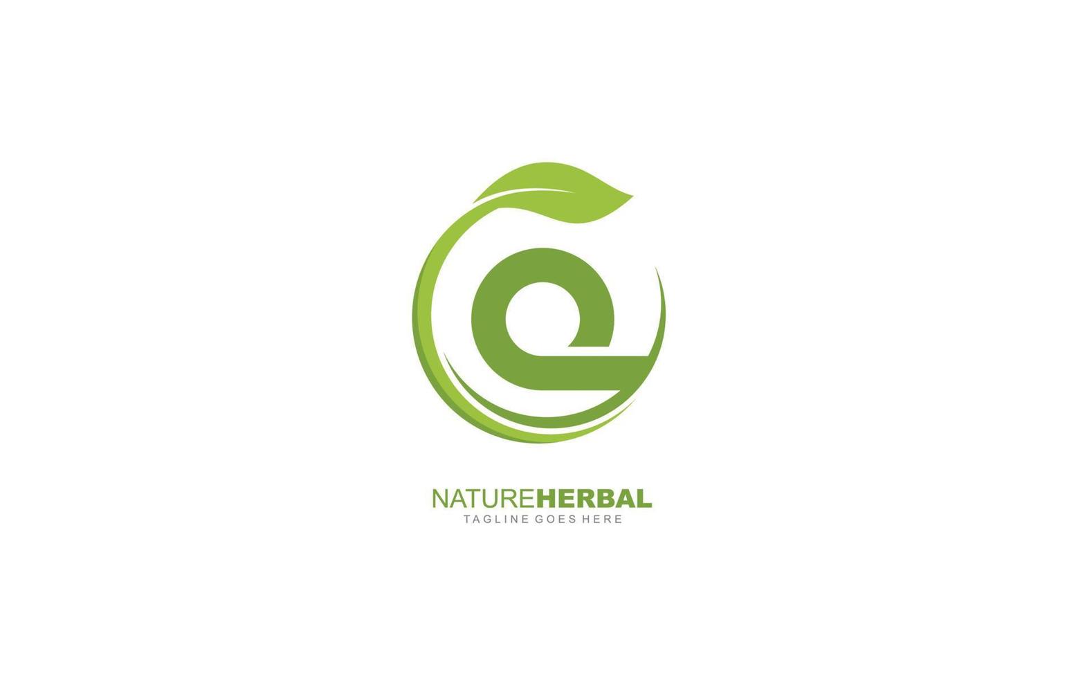 q hoja de logotipo para identidad. ilustración de vector de plantilla de naturaleza para su marca.