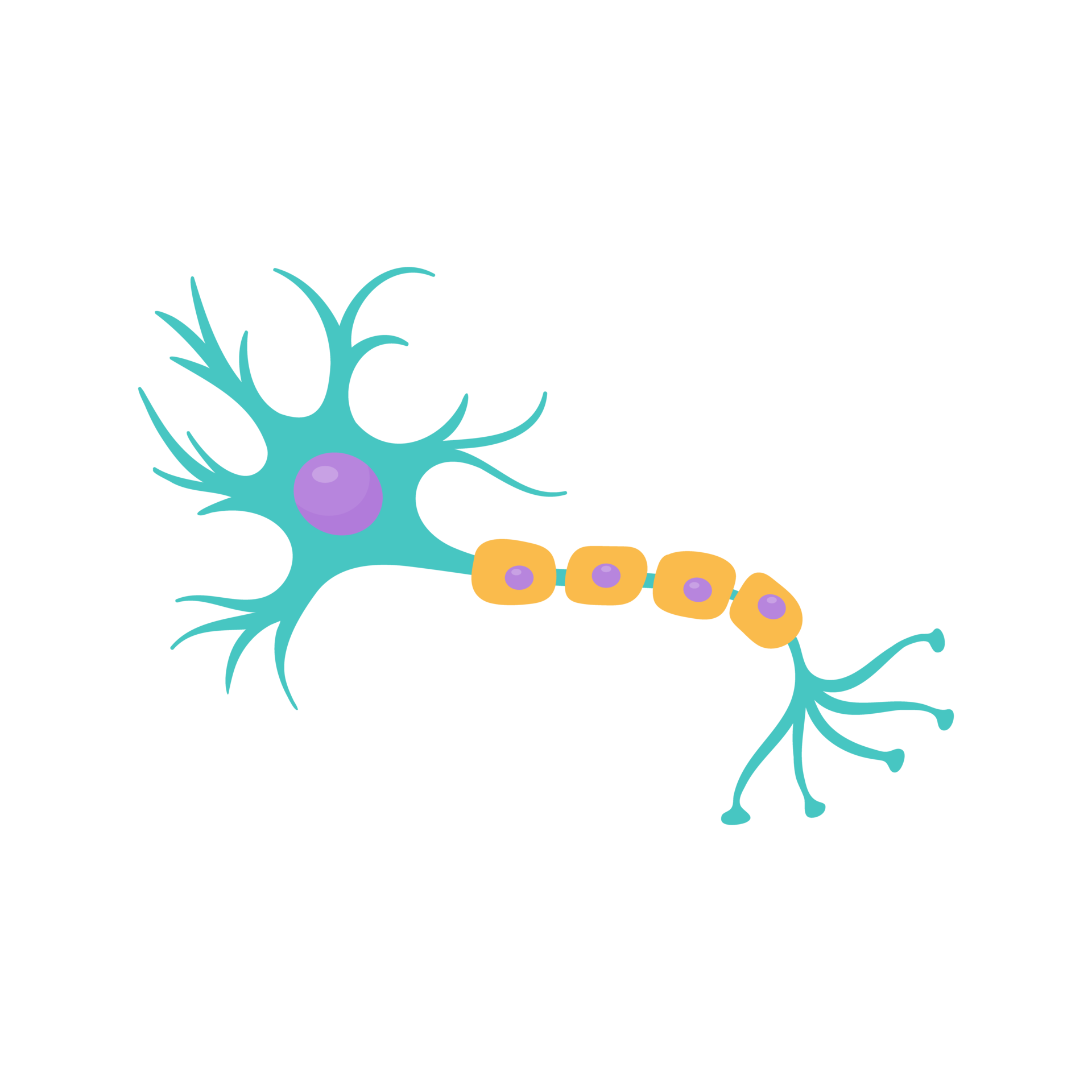 modelo de neurônio sensorial humano para estudos de biologia 14618394 PNG
