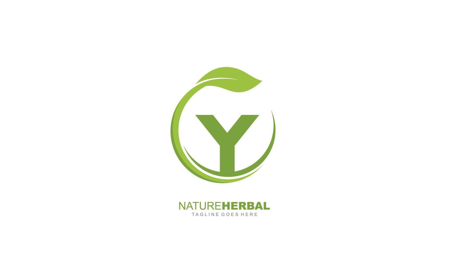 Y logo leaf for identity. nature template vector illustration for your brand.