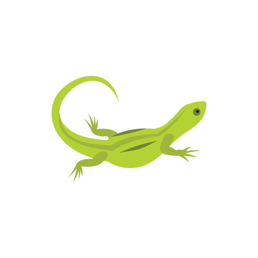 Lizard icon in flat style vector