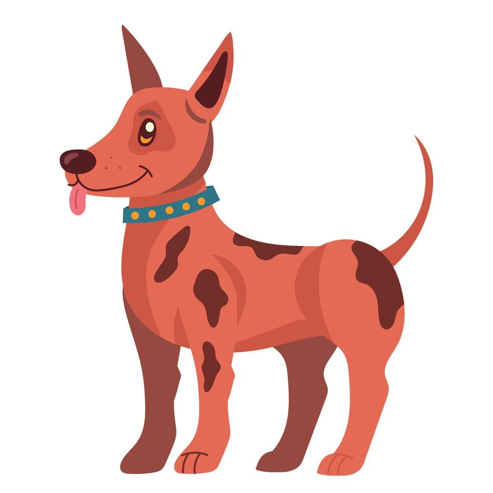 lindo perro kelpie vector