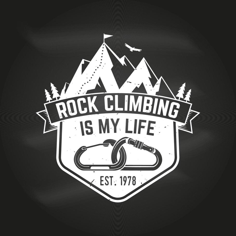 Vintage typography design with carabiners, condor and mountain silhouette. vector