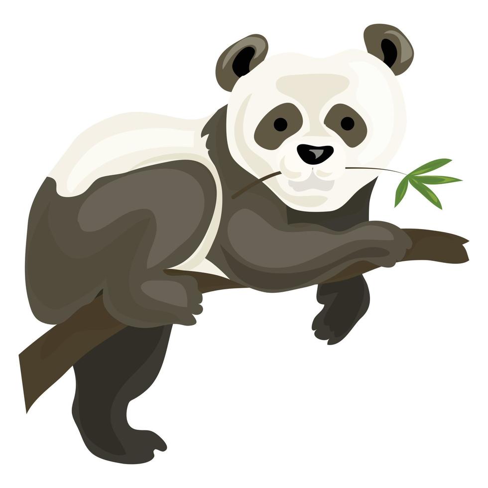 Panda bear icon, cartoon style vector