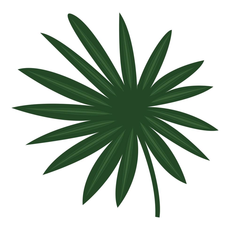 Fan palm icon, cartoon style vector