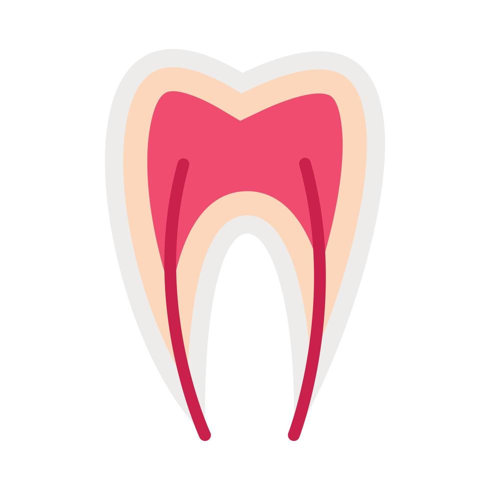 icono de nervio dental, estilo plano vector