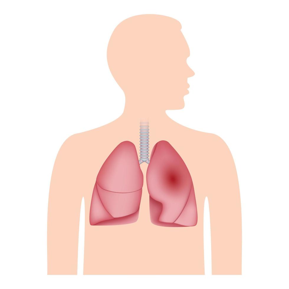 icono de pulmones humanos, estilo realista vector