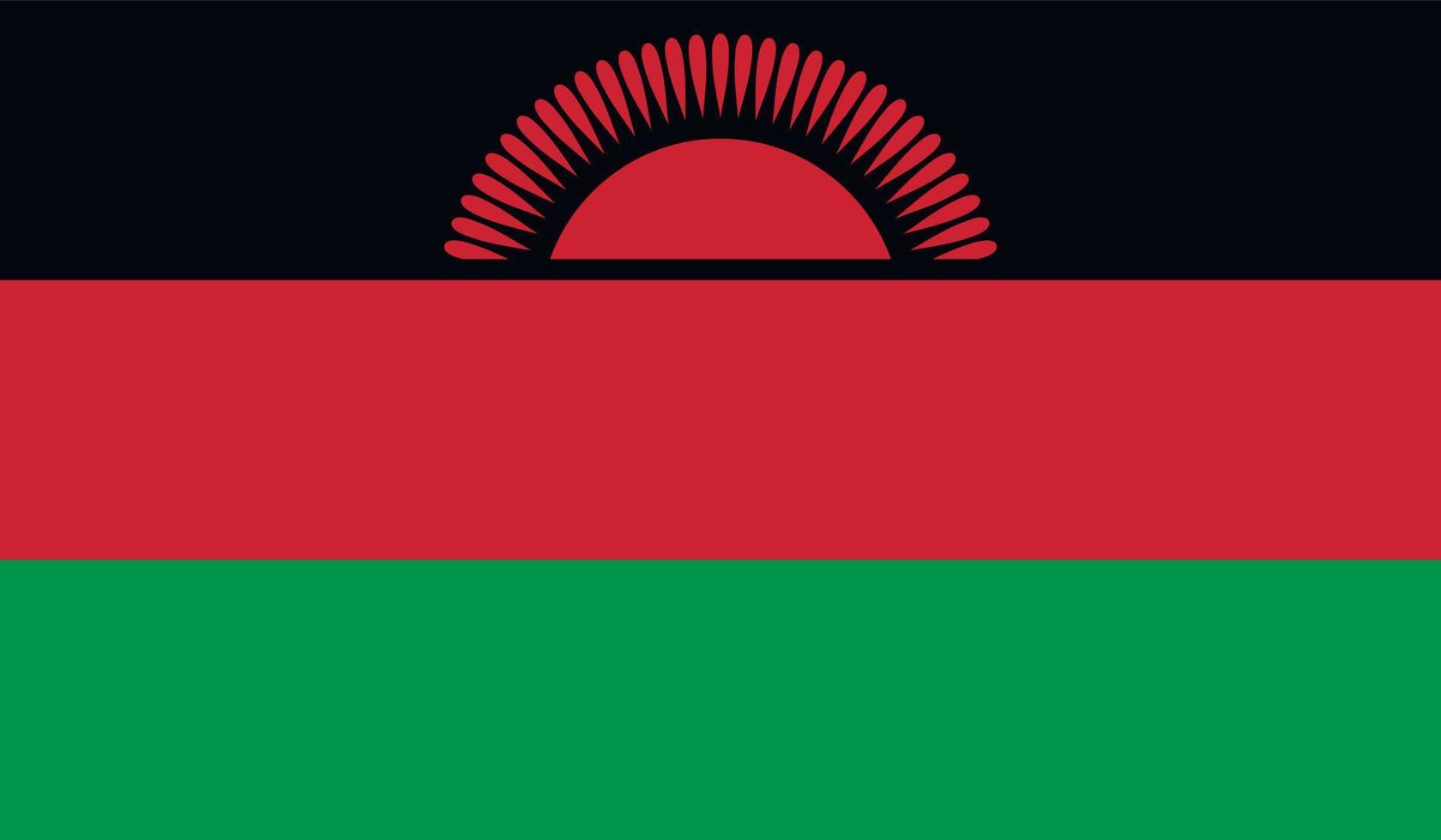 Malawi flag image vector