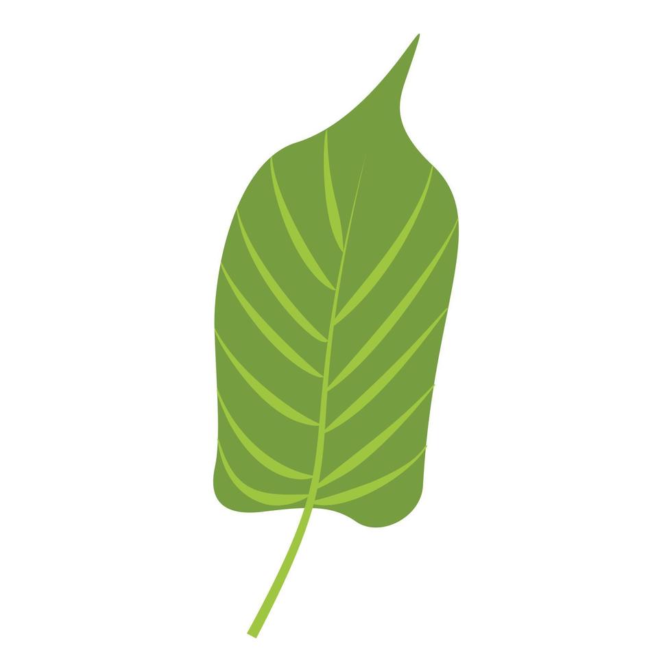 Jungle leaf icon, cartoon style vector