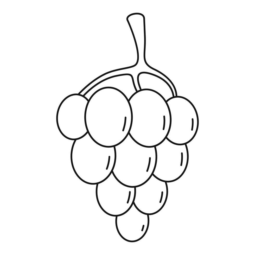 Sultana grape icon, outline style vector