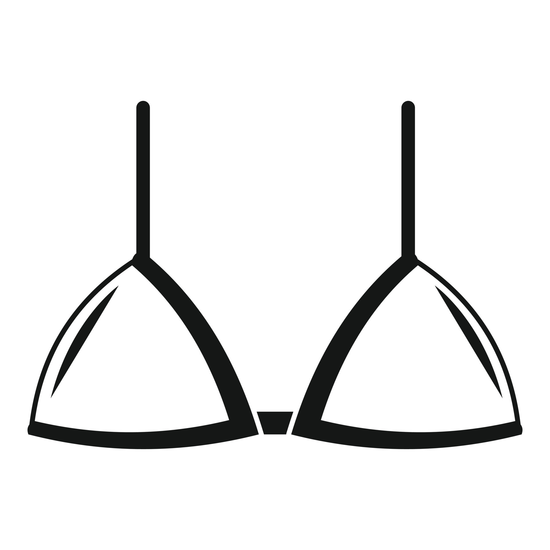 Simple Bra Vector