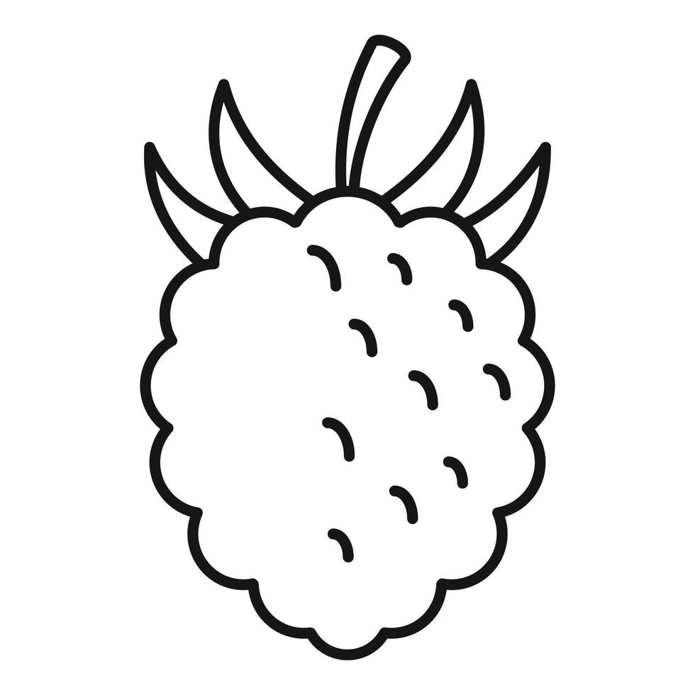 Raspberry fazz icon, outline style vector