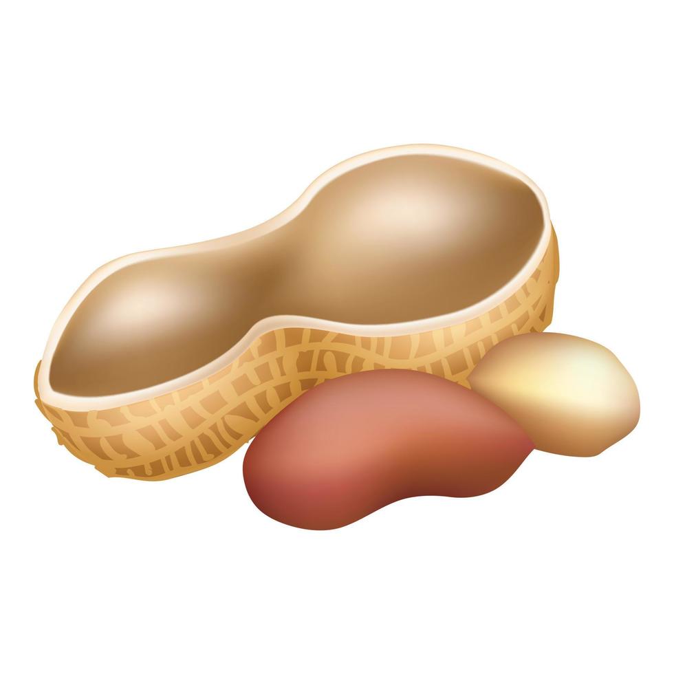 Shell peanut icon, cartoon style vector