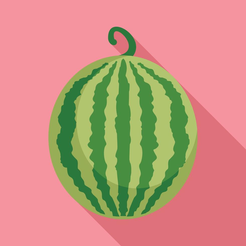 Whole watermelon icon, flat style vector