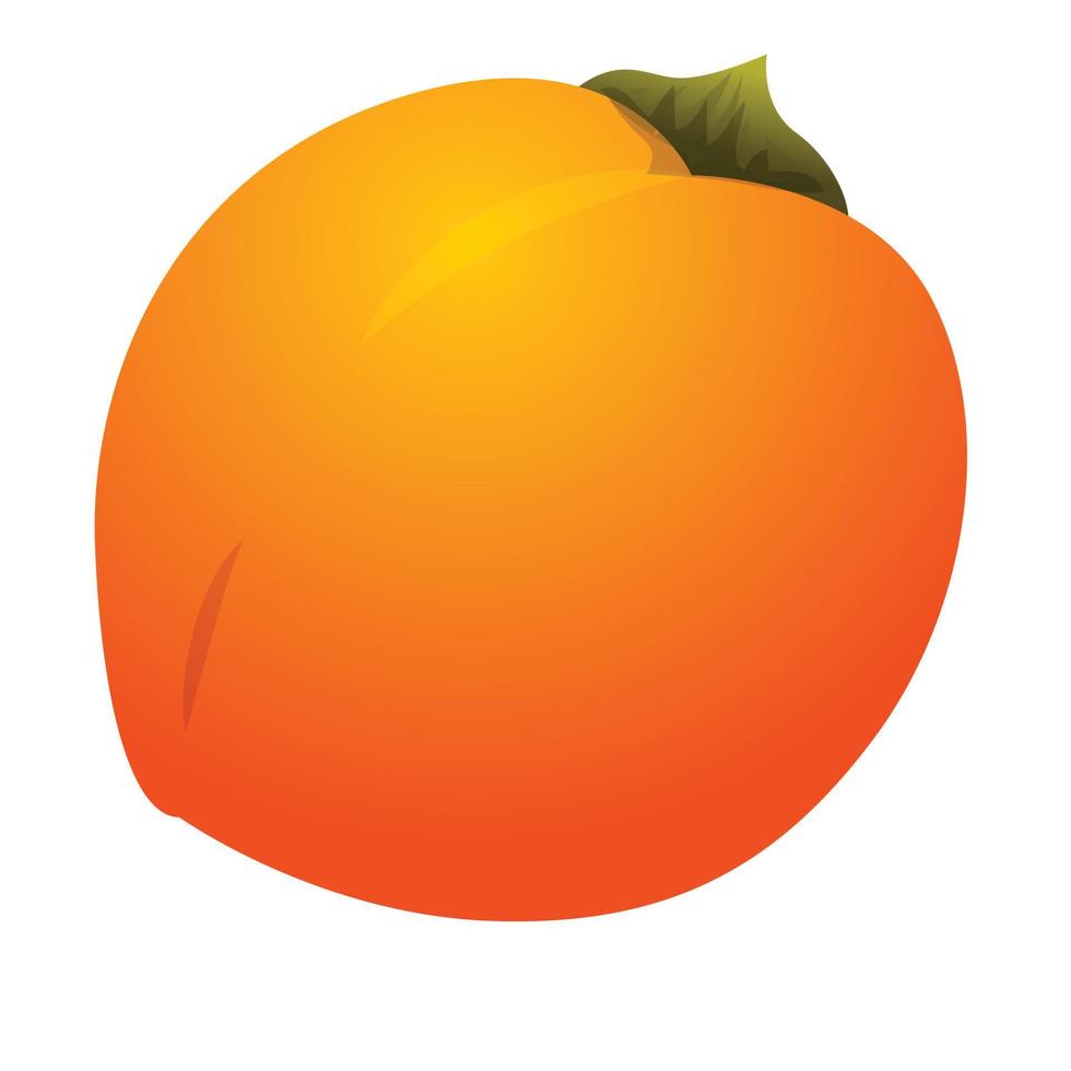 Persimmon fresh fruit icon, cartoon style vector