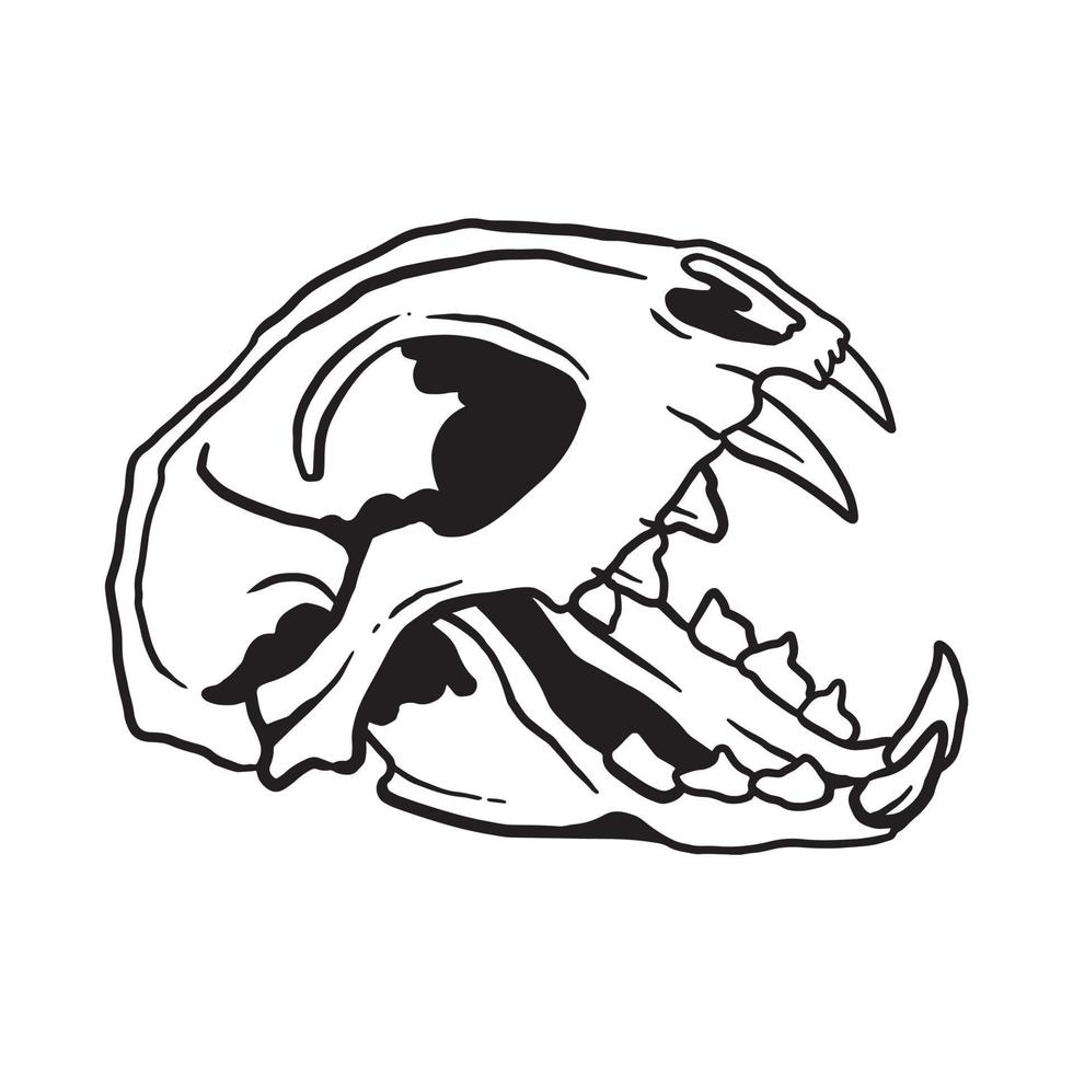 Cat Skull Illustration vector