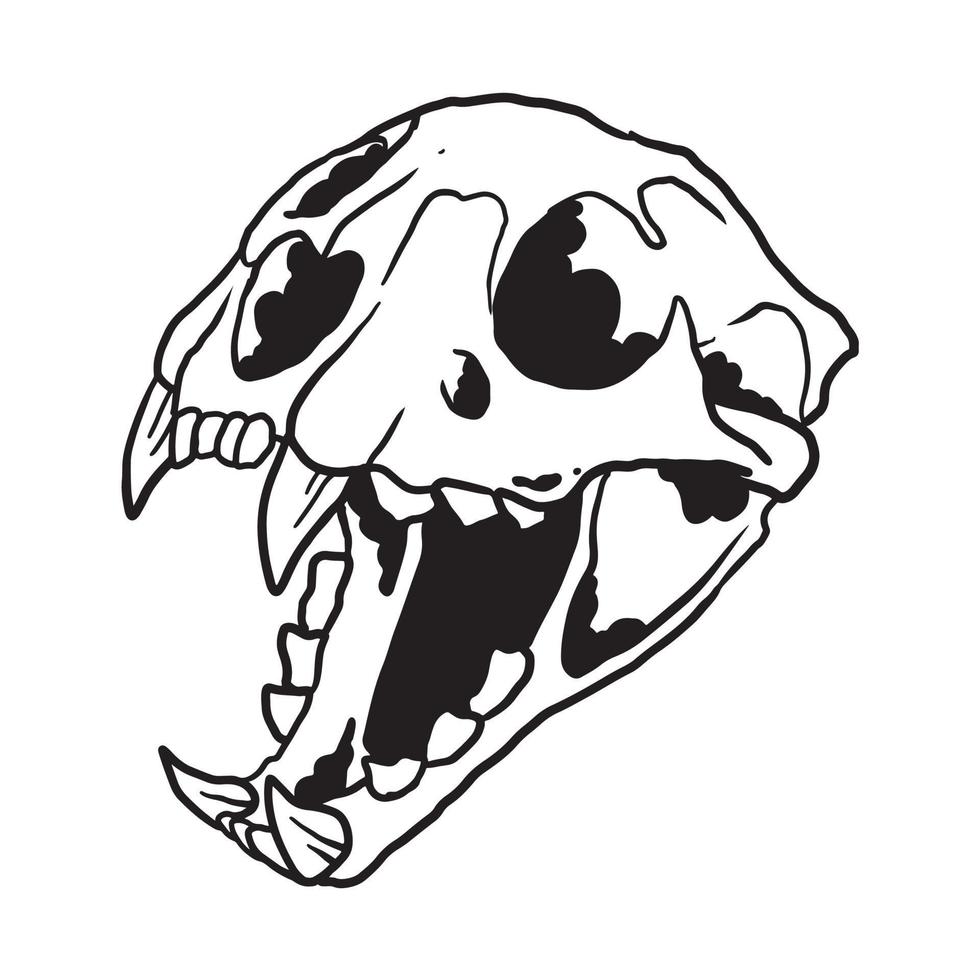 Cat Skull Illustration vector