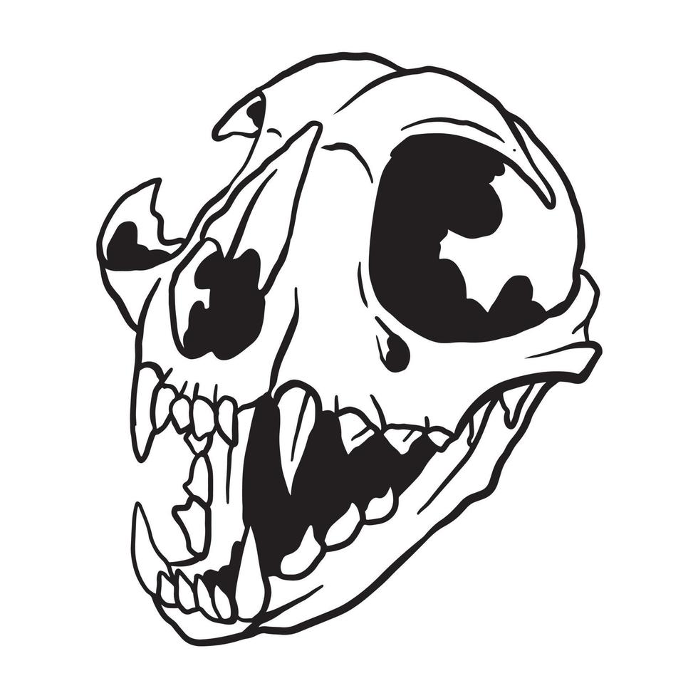 Cat Skull Illustration vector