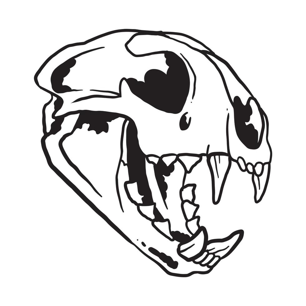 Cat Skull Illustration vector