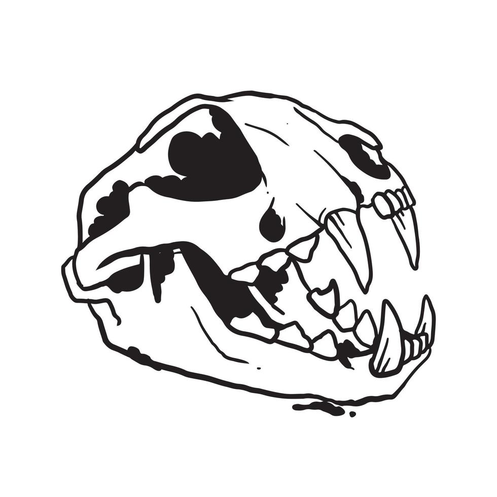 Cat Skull Illustration vector