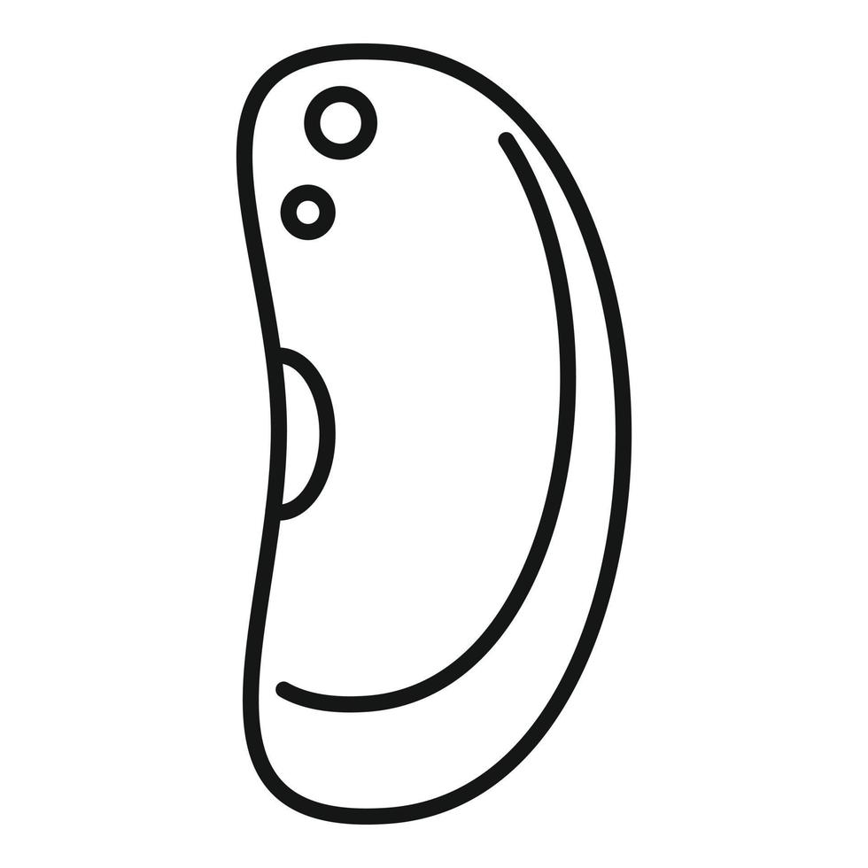 Garbanzo kidney bean icon, outline style vector