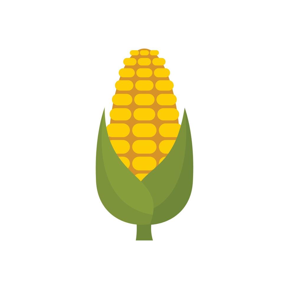 Natural maize icon, flat style vector