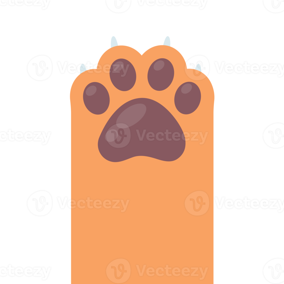 Dog and cat paws with sharp claws. cute animal footprints png