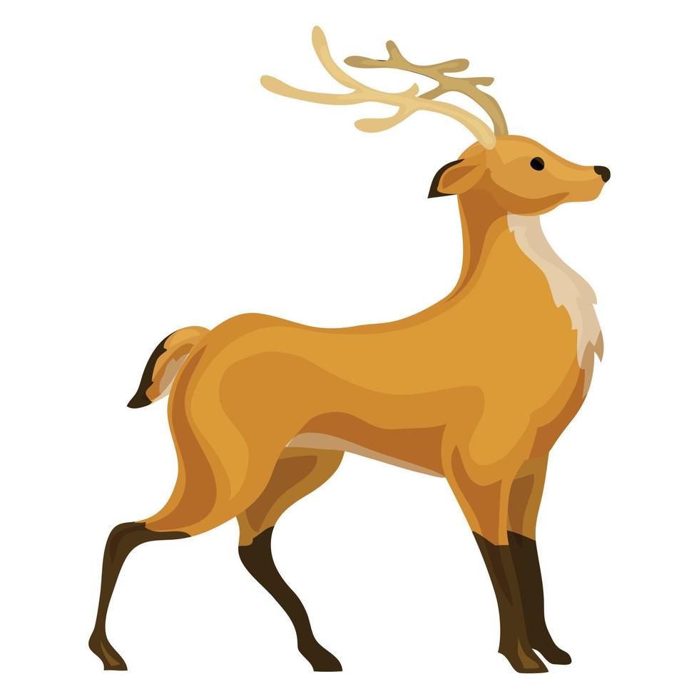 Deer icon, cartoon style vector