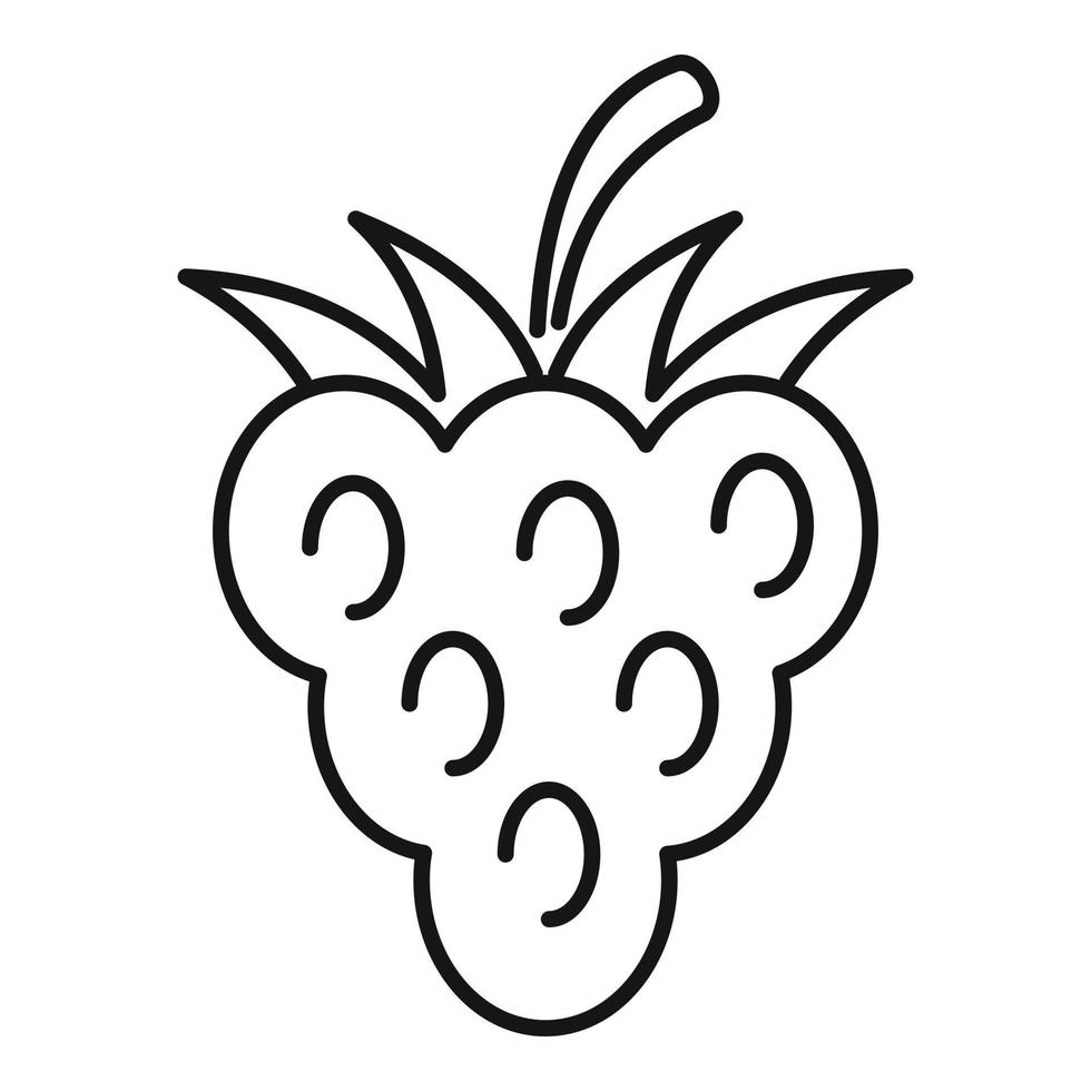 Diet blackberry icon, outline style vector