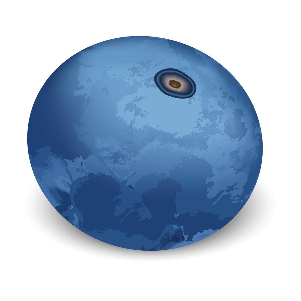 Eco blueberry icon, realistic style vector