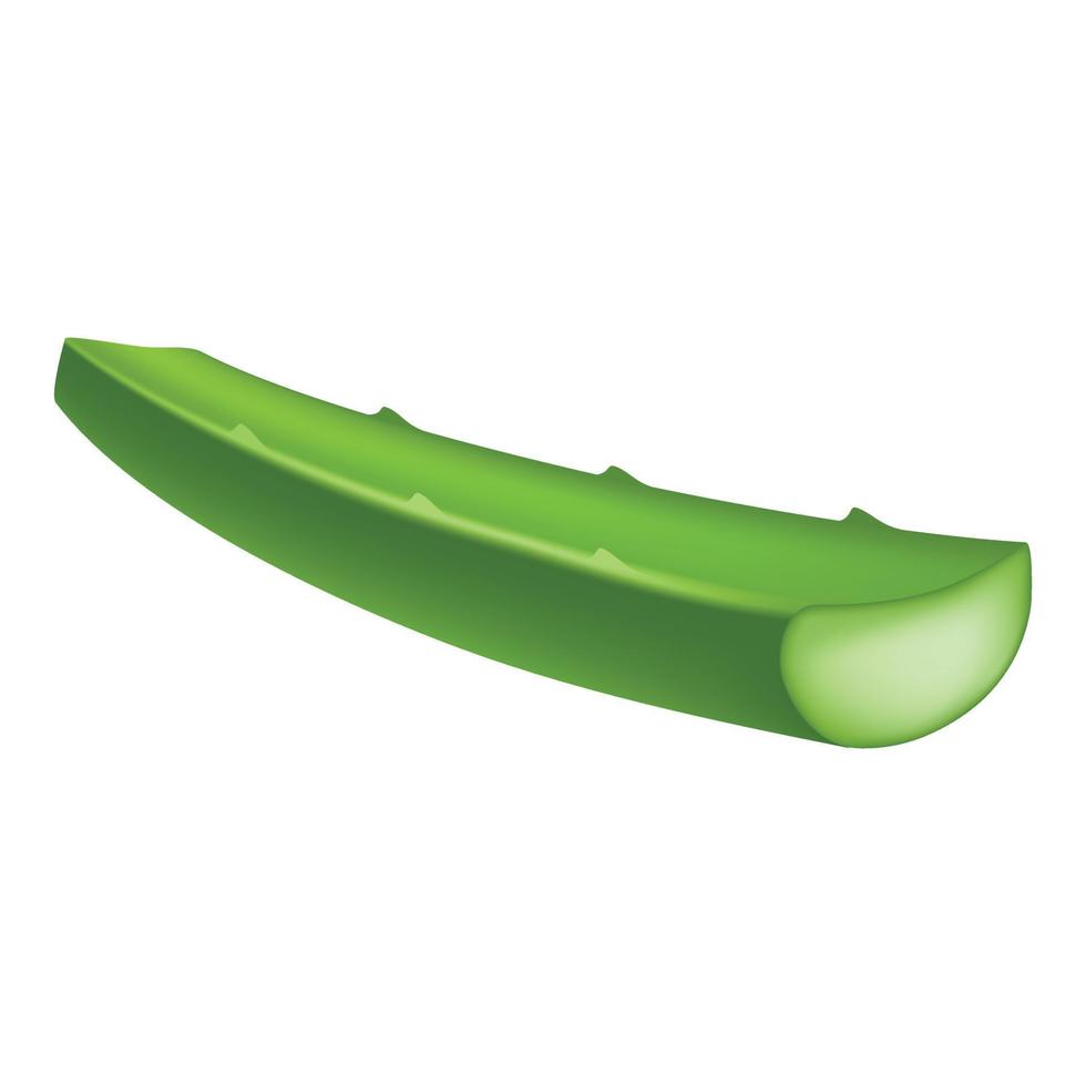 Natural aloe vera icon, realistic style vector