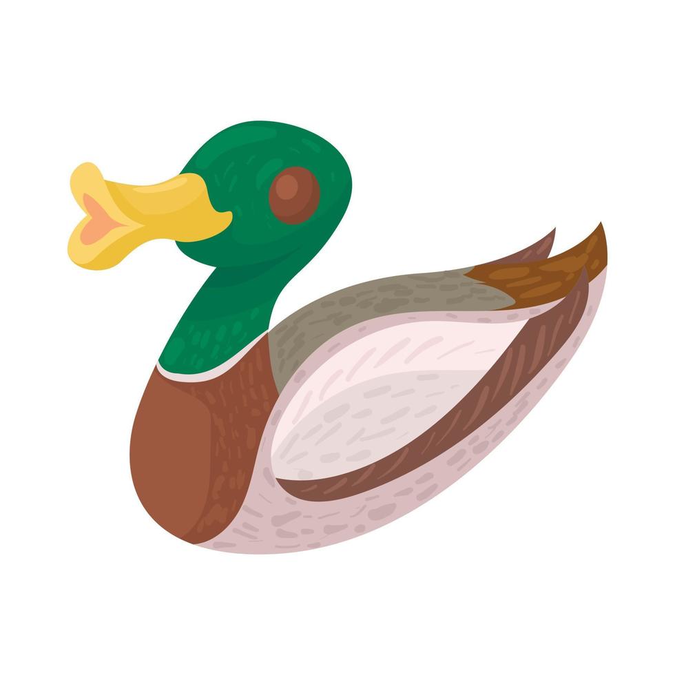 icono de pato salvaje, estilo de dibujos animados vector