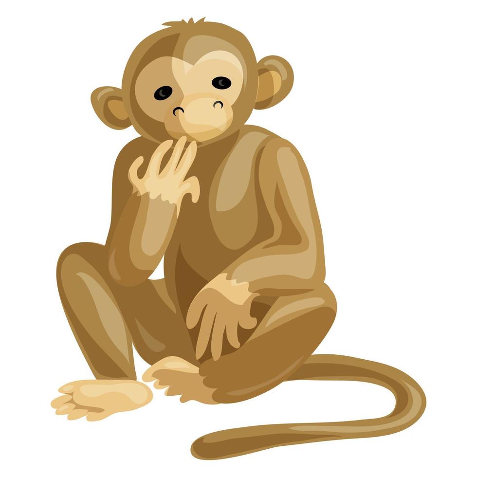 Monkey icon, cartoon style vector