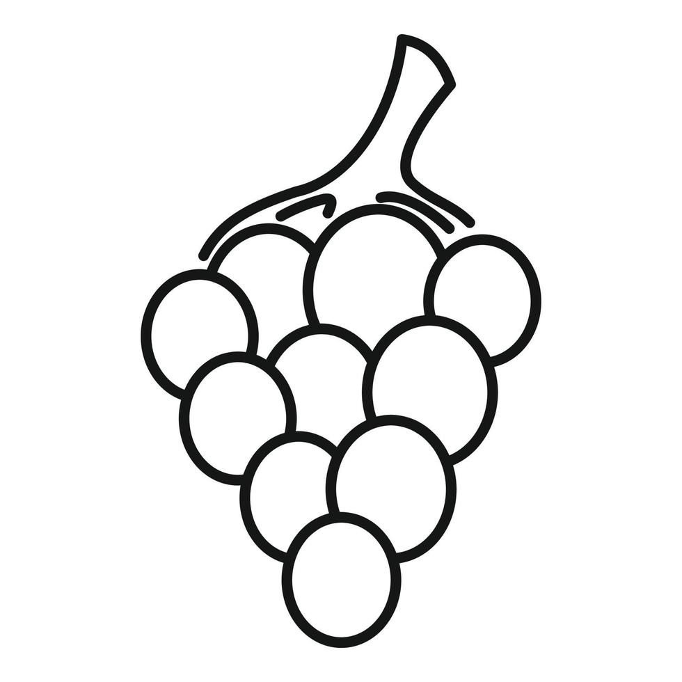 Fresh grapes icon, outline style vector