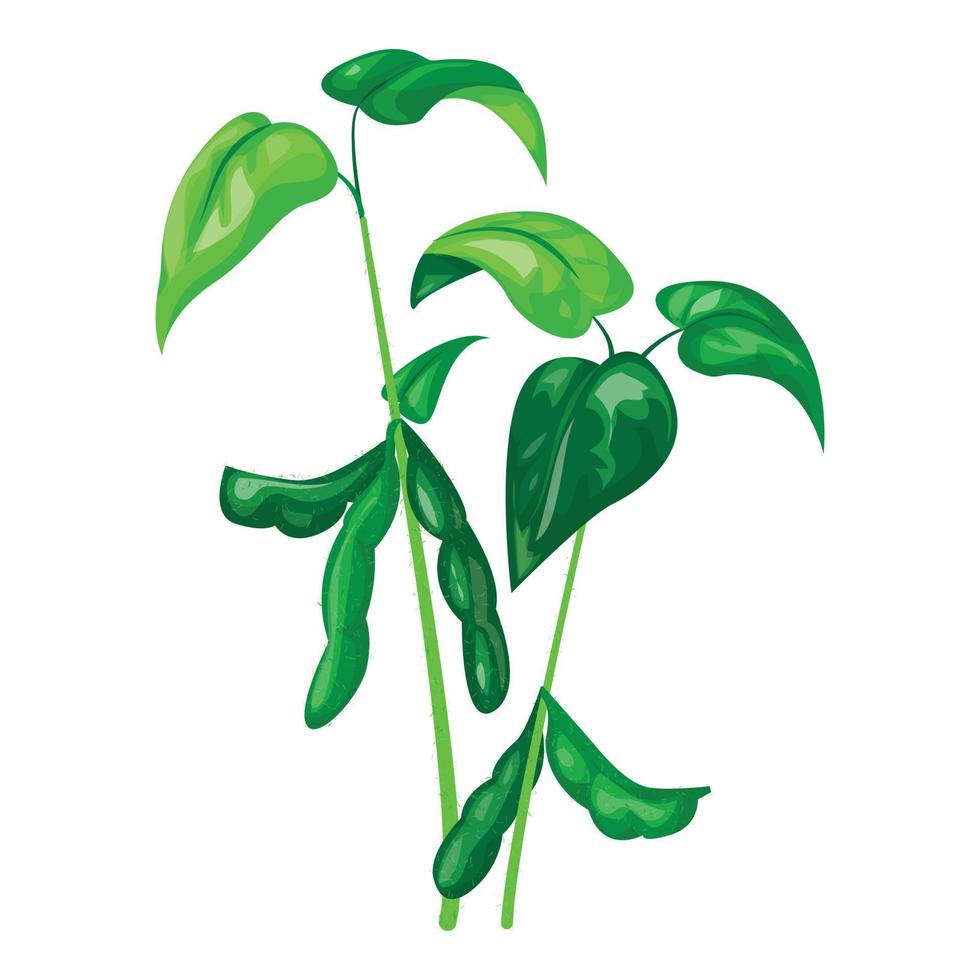 icono de la planta de soja, estilo de dibujos animados vector