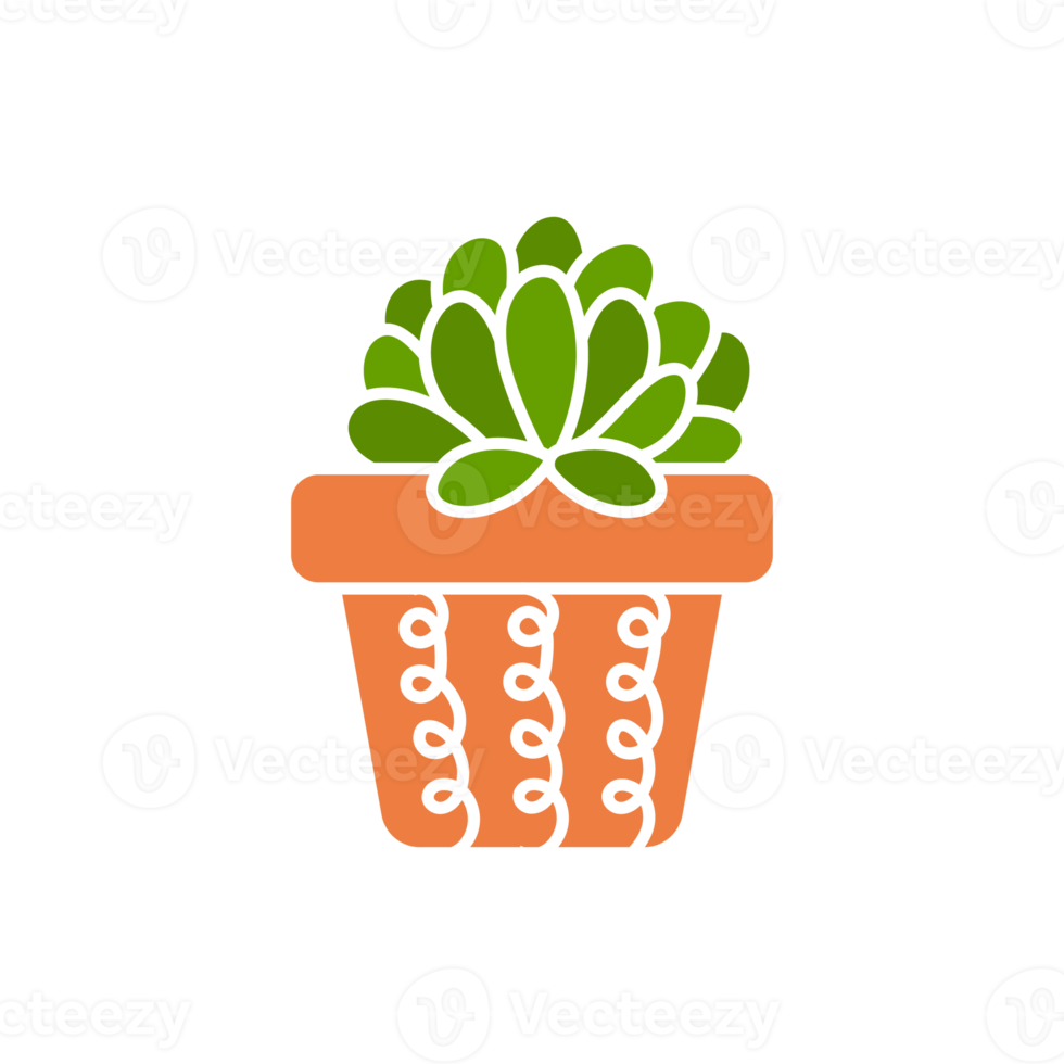 cactus in potted plant. Cactus A variety of succulent plants that are popular to grow png