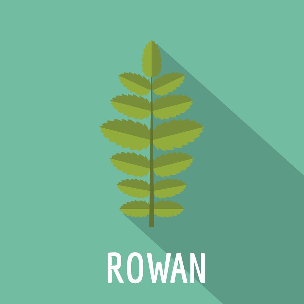 Rowan leaf icon, flat style vector