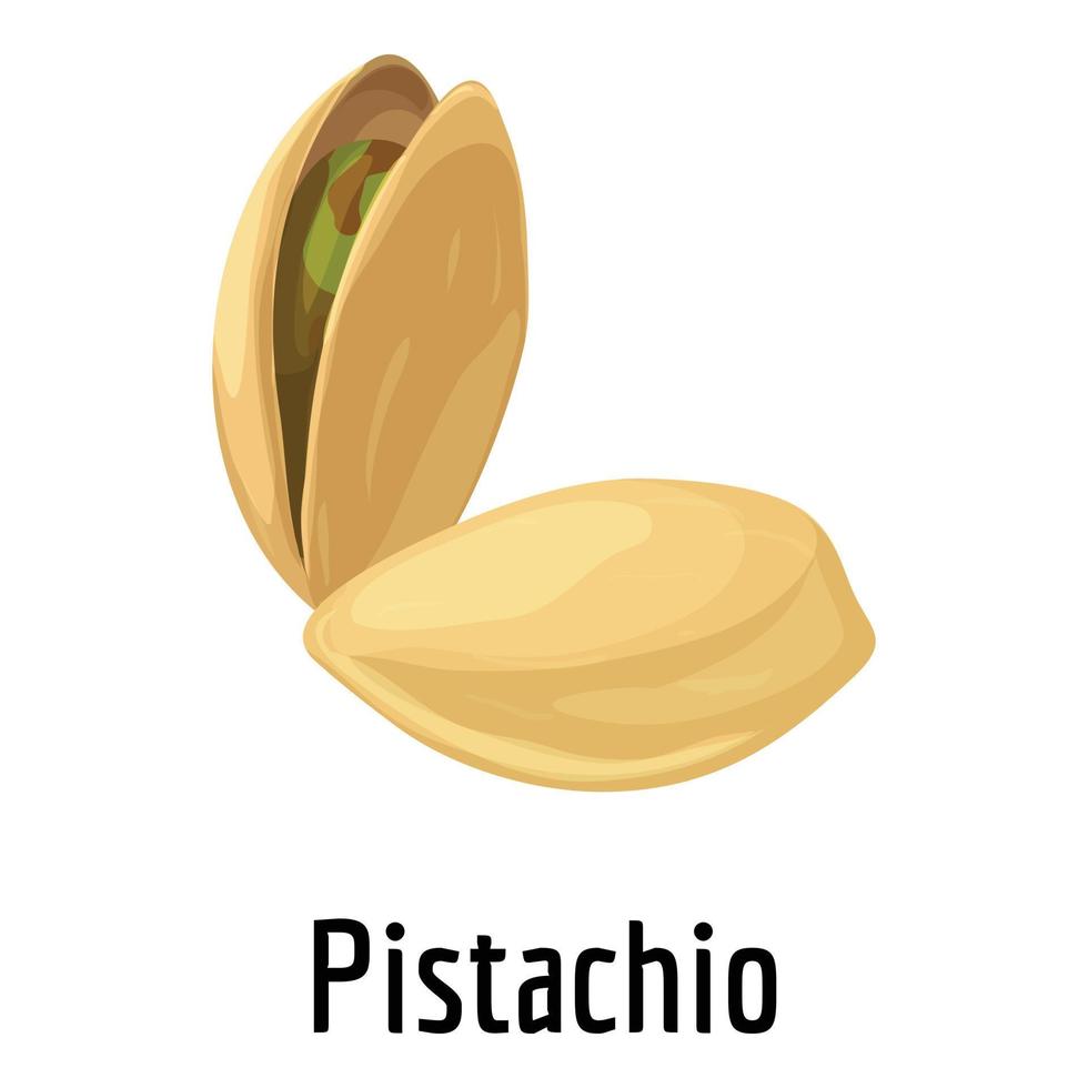 Pistachio icon, cartoon style vector
