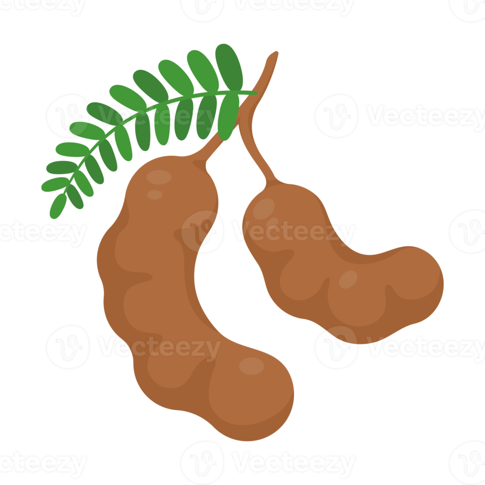 tamarindo dulce. una fruta saludable que es alta en fibra. ayudar al sistema digestivo para los vegetarianos png