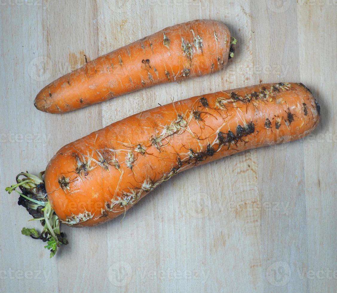 Carrots Rotting
