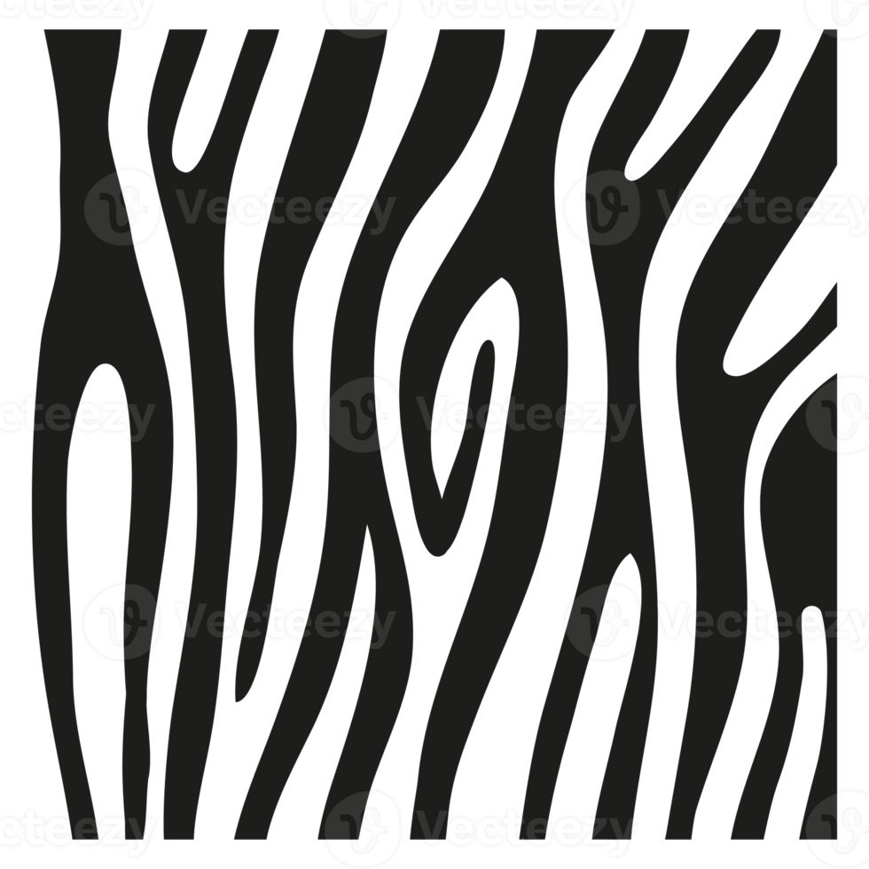 zwarte strepen op de huid van een zebra voor decoratie graphics png