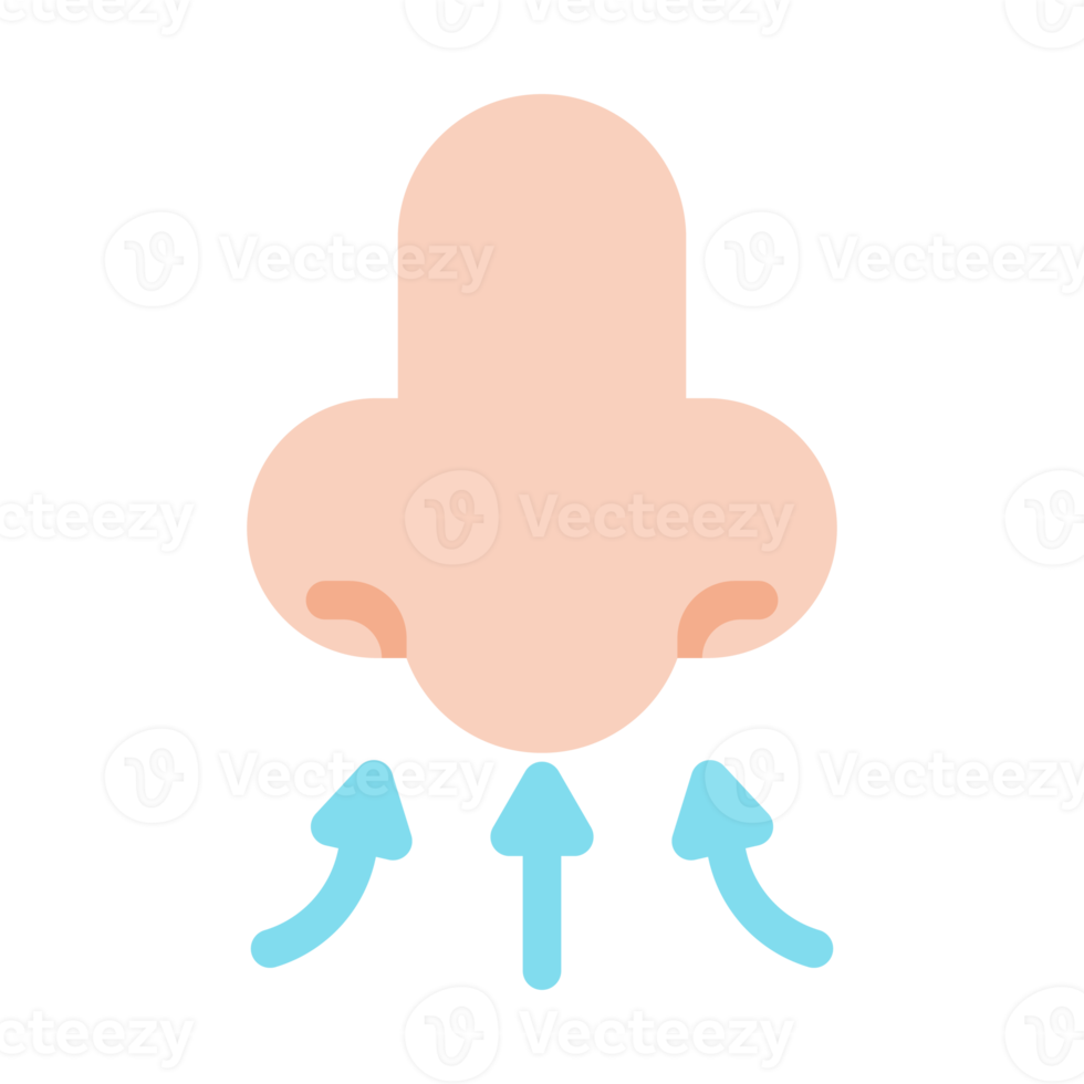 Nose icon. Runny nose The concept of care for patients with viral fever png