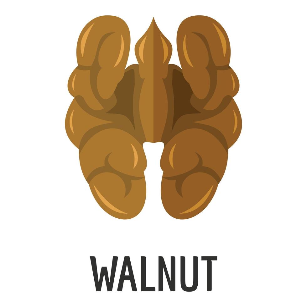 Walnut icon, flat style vector