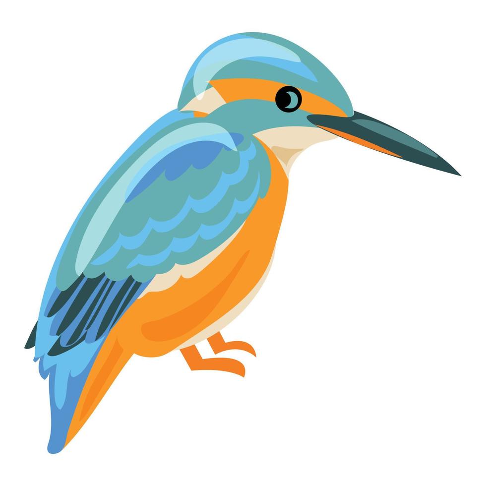 Kingfisher icon, cartoon style vector